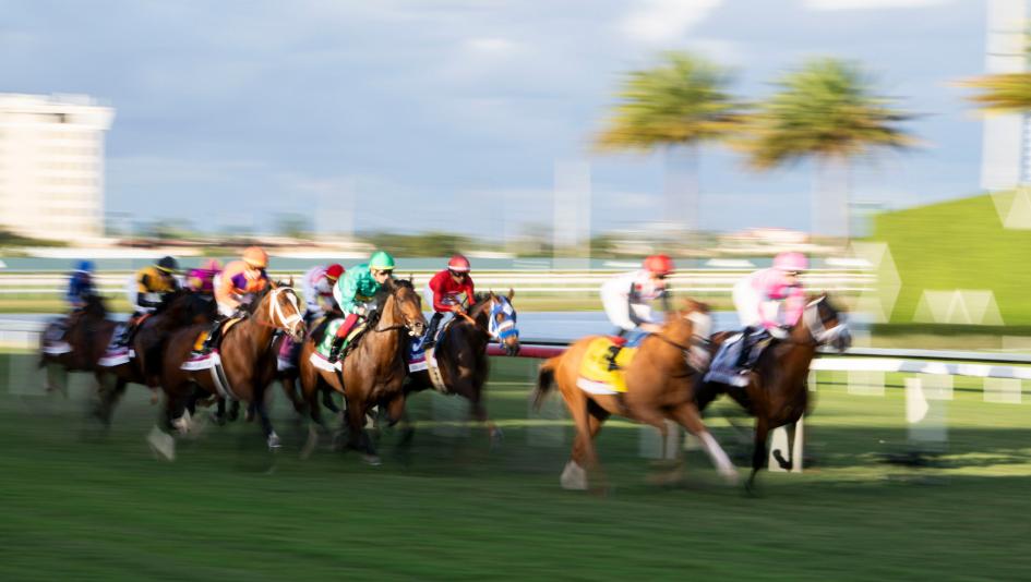 Pegasus World Cup Turf Invitational Stakes, Gulfstream Park, America's Best Racing, horse racing, ABR
